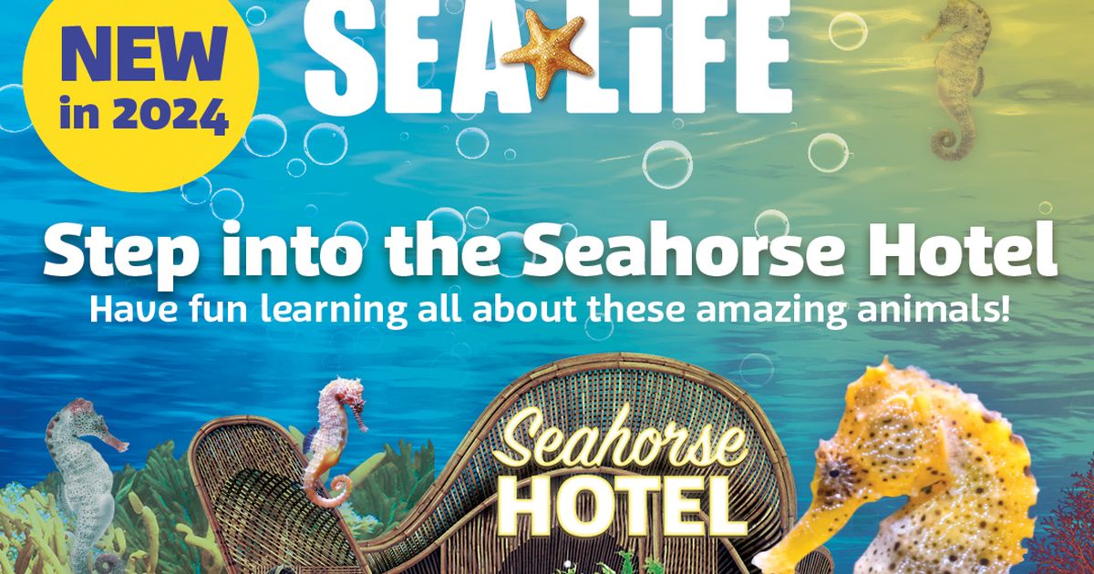 SEA LIFE Loch Lomond | VisitBritain